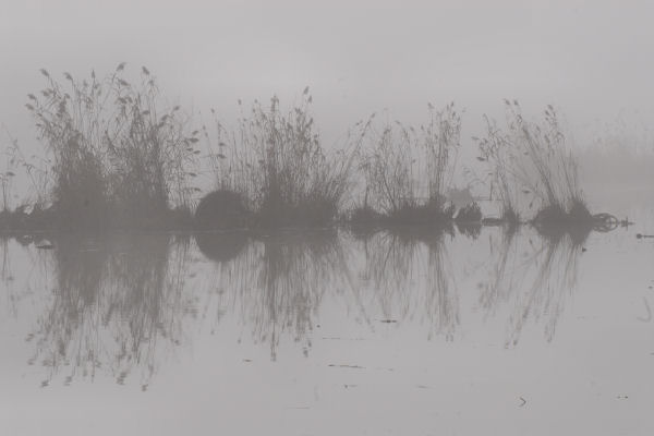Lago di Fimon - Monti Berici