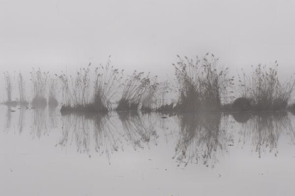 Lago di Fimon - Monti Berici