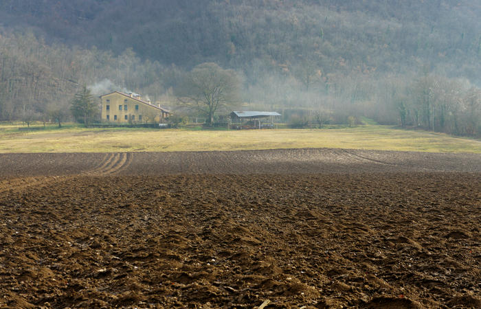 Nordic Walking al Lago di Fimon, Arcugnano Colli Berici Vicenza