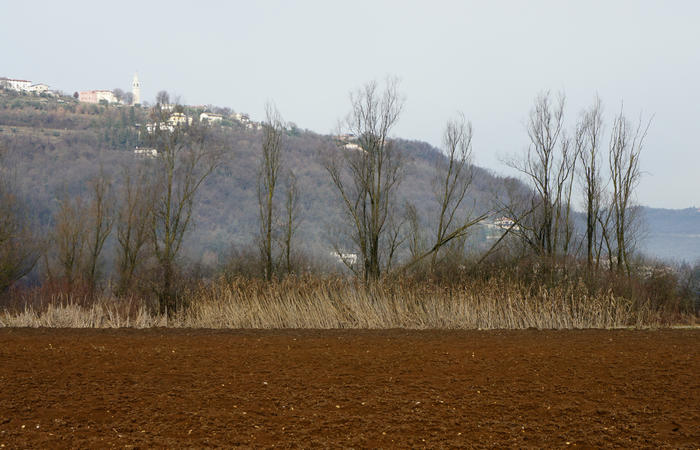 Nordic Walking al Lago di Fimon, Arcugnano Colli Berici Vicenza
