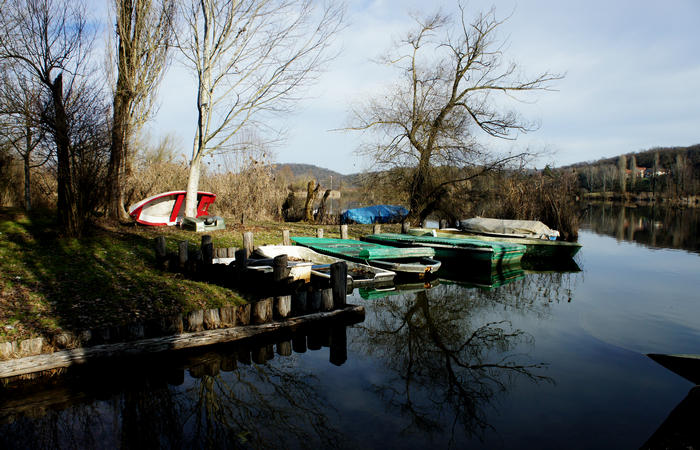Nordic Walking al Lago di Fimon, Arcugnano Colli Berici Vicenza
