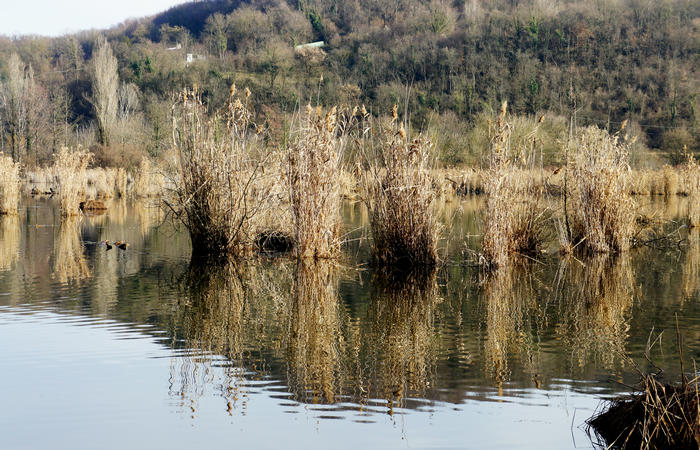 Nordic Walking al Lago di Fimon, Arcugnano Colli Berici Vicenza