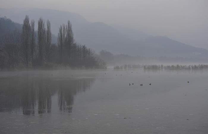 Nordic Walking al Lago di Fimon, Arcugnano Colli Berici Vicenza