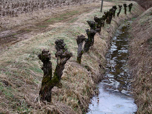 Sentiero Archeologico Valli Lago di Fimon, Arcugnano