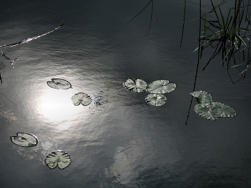 Valli di Fimon e lago di Fimon ad Arcugnano nei Colli Berici