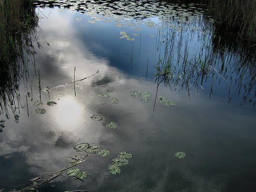 Valli di Fimon e lago di Fimon ad Arcugnano nei Colli Berici