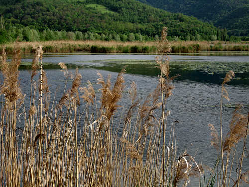Valli di Fimon e lago di Fimon ad Arcugnano nei Colli Berici