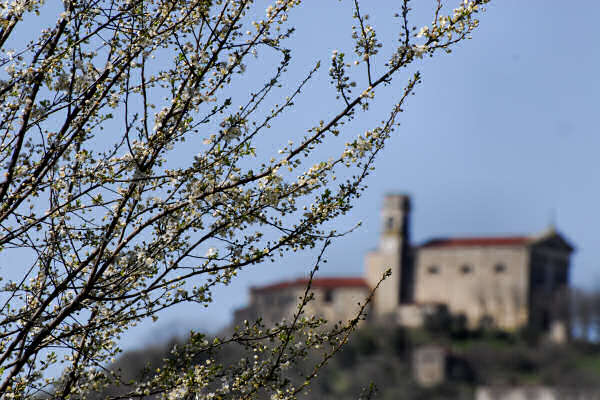 chiesa parrocchiale di Grancona, Val Liona Colli Berici Vicenza