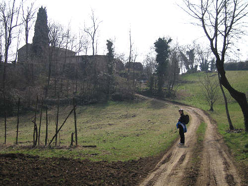 Costozza - monte Brosimo (Longare)