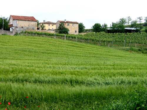 Lonigo - Monti Berici, Vicenza