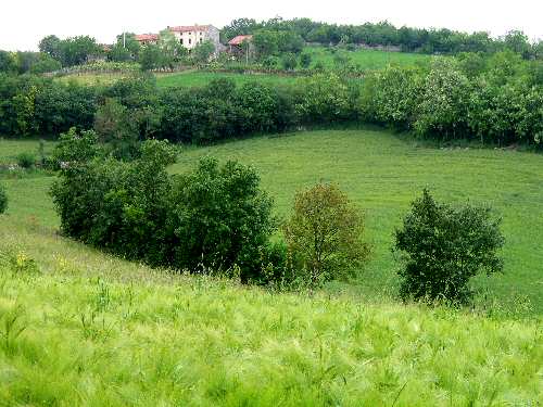 Lonigo - Monti Berici, Vicenza