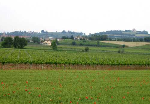 Lonigo - Monti Berici, Vicenza