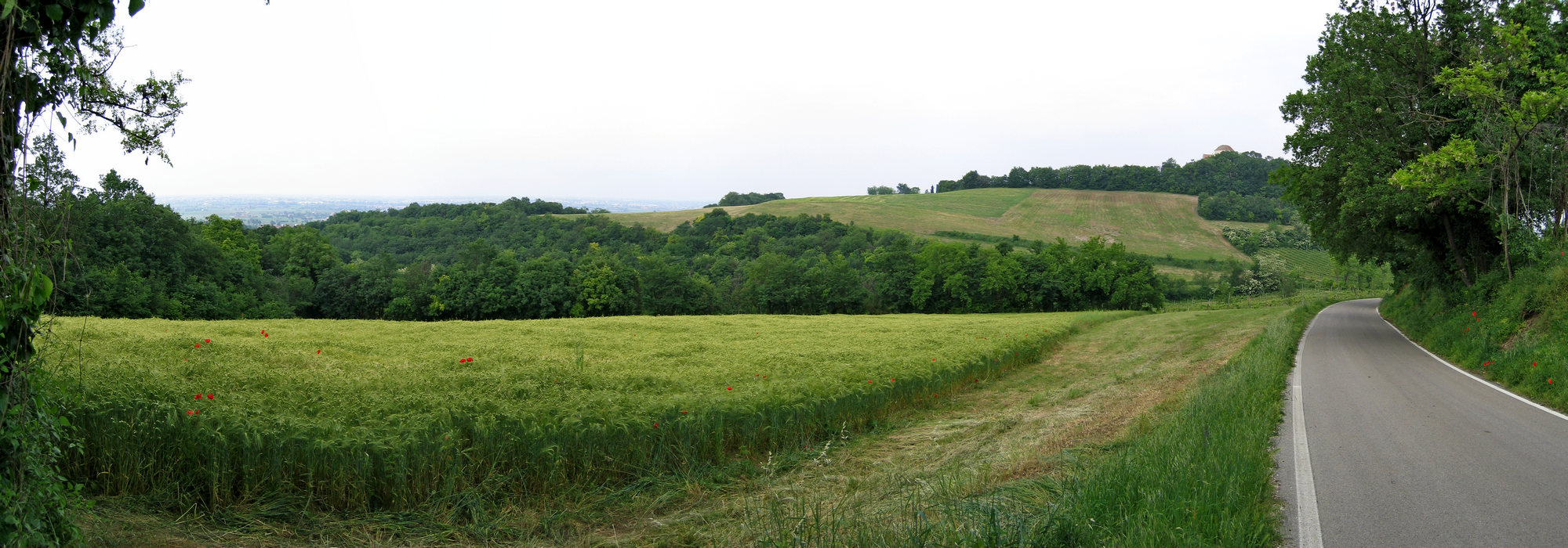 Lonigo, la Rocca Pisana