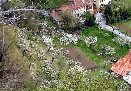 Lumignano di Longare, riviera Berica Colli Berici, Vicenza
