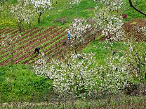 Lumignano di Longare, riviera Berica Colli Berici, Vicenza