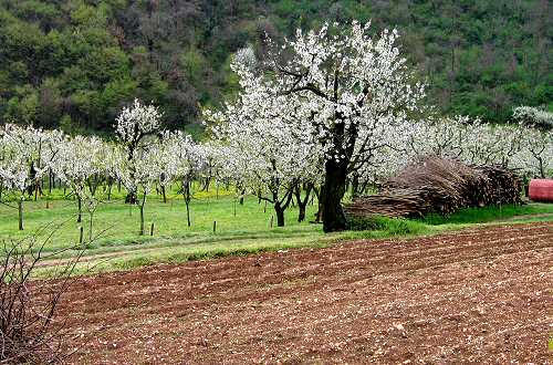 Lumignano di Longare, riviera Berica Colli Berici, Vicenza