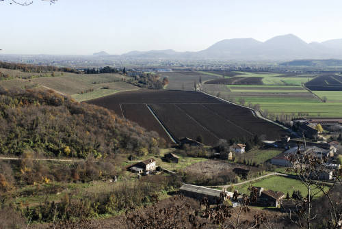 Grotta San Bernardino a Mossano nei Colli Berici