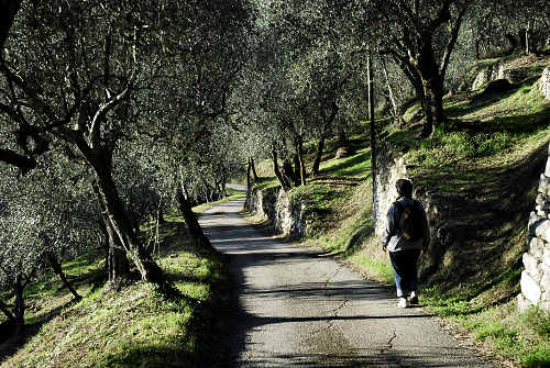 Grotta San Bernardino a Mossano nei Colli Berici