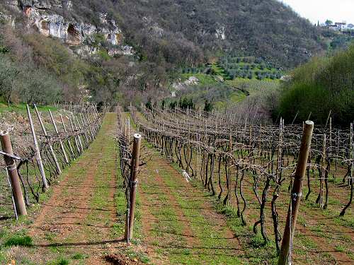 Mossano, Monti Berici Vicenza