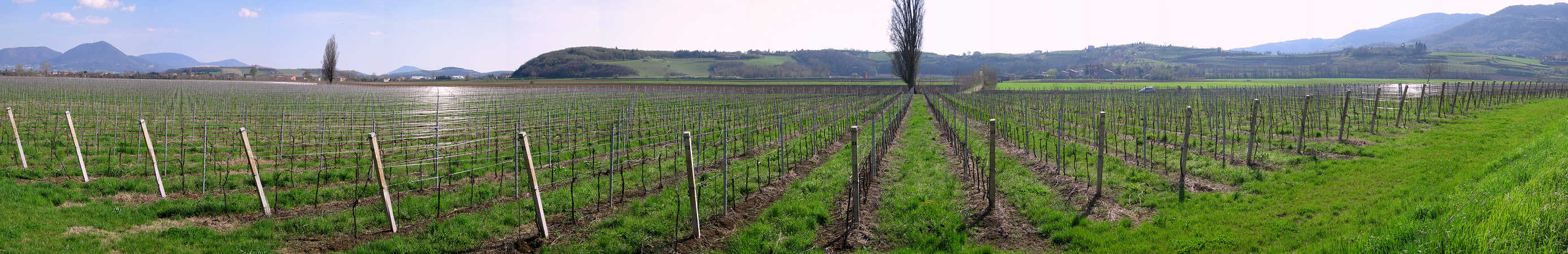 Mossano, Monti Berici