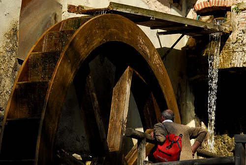 Passeggiata a Mossano, Riviera Berica Colli Berici