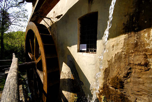 Passeggiata a Mossano, Riviera Berica Colli Berici