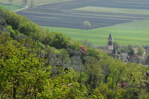 Passeggiata a Mossano, Riviera Berica Colli Berici