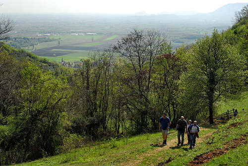 Passeggiata a Mossano, Riviera Berica Colli Berici