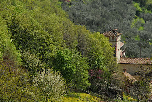 Passeggiata a Mossano, Riviera Berica Colli Berici
