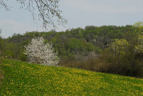Passeggiata a Mossano, Riviera Berica Colli Berici