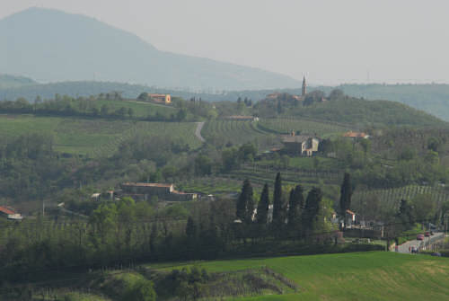 Passeggiata a Mossano, Riviera Berica Colli Berici