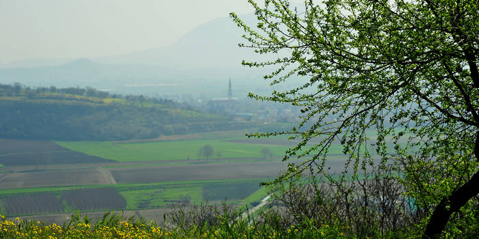 Orgiano, Monti Berici