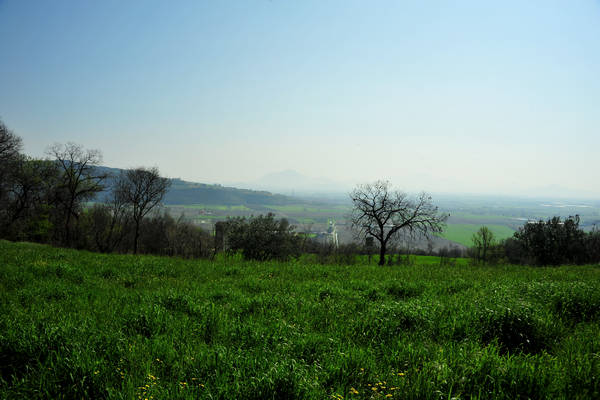 Orgiano, Botteghino-Monticello, Valle dei Mulini, Alonte