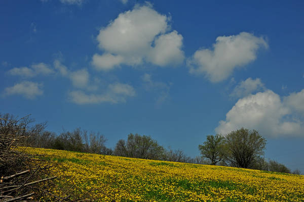 Orgiano, Botteghino-Monticello, Valle dei Mulini, Alonte