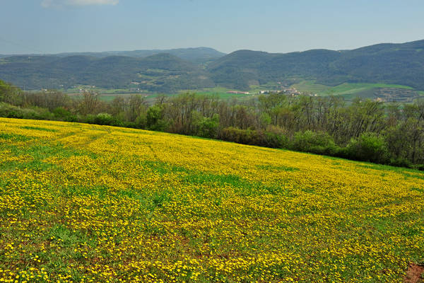 Orgiano, Botteghino-Monticello, Valle dei Mulini, Alonte