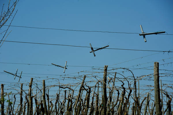 Orgiano, Botteghino-Monticello, Valle dei Mulini, Alonte