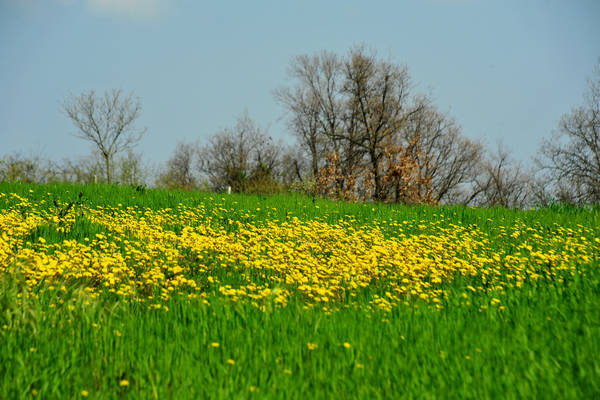 Orgiano, Botteghino-Monticello, Valle dei Mulini, Alonte