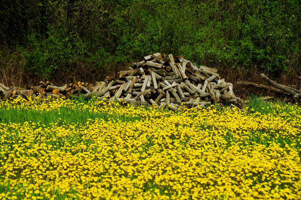 Orgiano, Botteghino-Monticello, Valle dei Mulini, Alonte