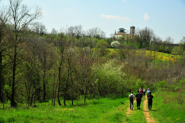 Orgiano, Botteghino-Monticello, Valle dei Mulini, Alonte