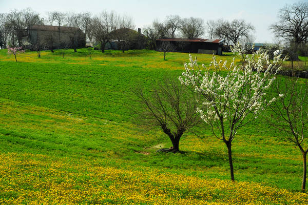 Orgiano, Botteghino-Monticello, Valle dei Mulini, Alonte
