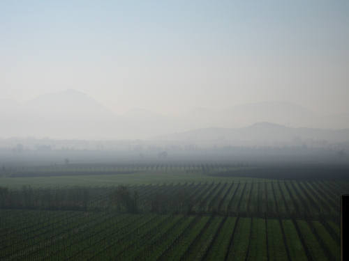 Riviera Berica orientale - Monti Berici, Vicenza