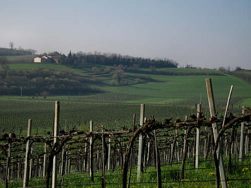 Riviera Berica orientale - Monti Berici, Vicenza