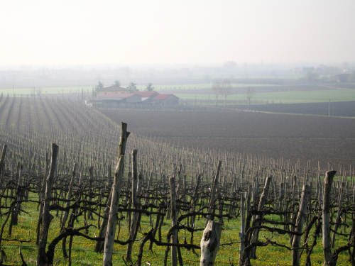 Riviera Berica orientale - Monti Berici, Vicenza