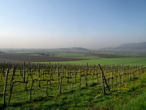 Riviera Berica orientale - Monti Berici, Vicenza