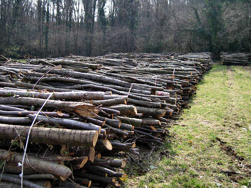 Riviera Berica orientale - Monti Berici, Vicenza
