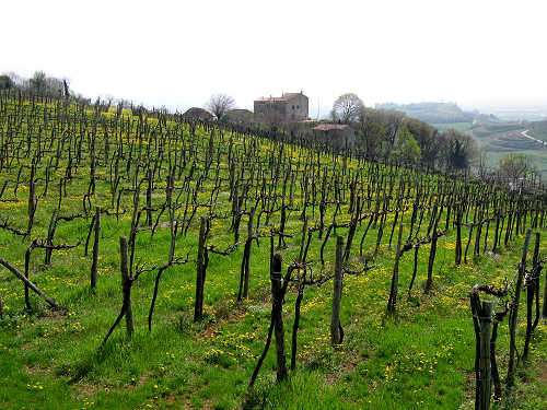 Riviera Berica orientale - Monti Berici, Vicenza