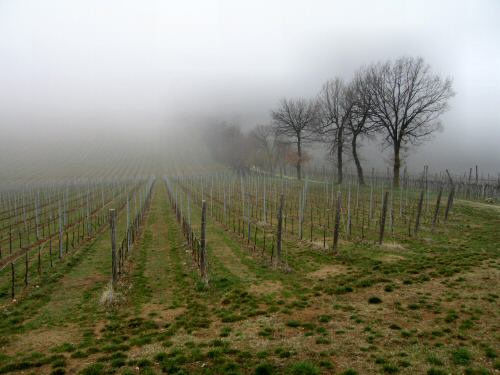 Chiesetta San Lorenzo a Villa del Ferro San Germano dei Berici