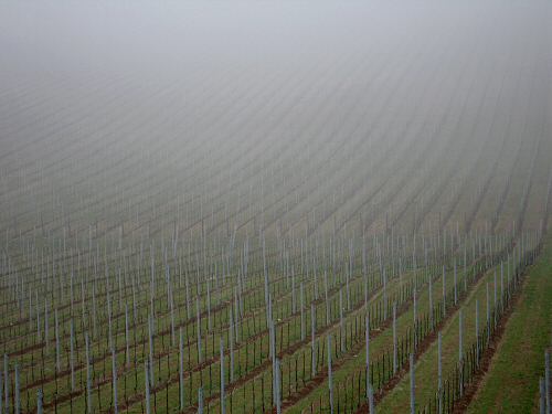 Chiesetta San Lorenzo a Villa del Ferro San Germano dei Berici
