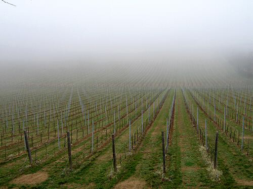Chiesetta San Lorenzo a Villa del Ferro San Germano dei Berici