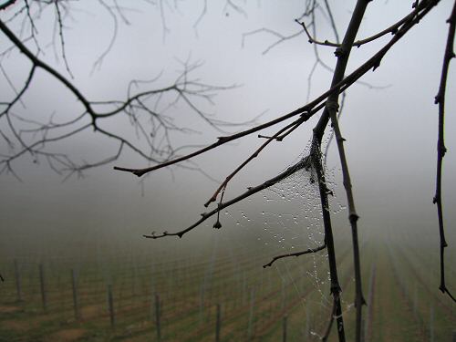 Chiesetta San Lorenzo a Villa del Ferro San Germano dei Berici